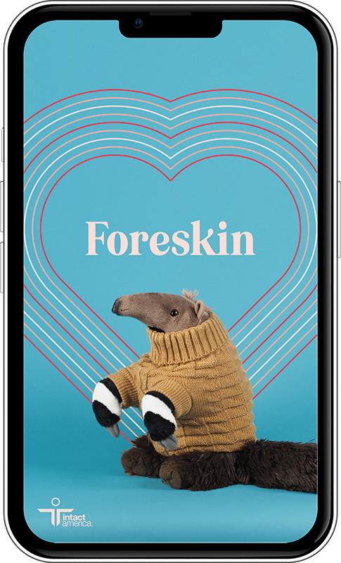 Image of a anteater stuffed animal with hearts and the word 'foreskin'