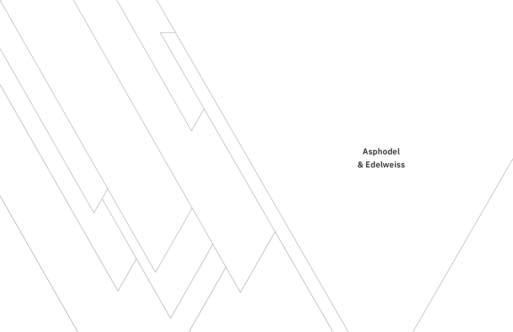 Book cover that says 'Asphodel & Edelweiss'