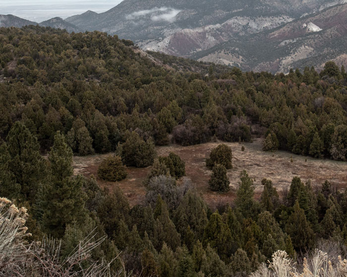 Hazy mountain landscape