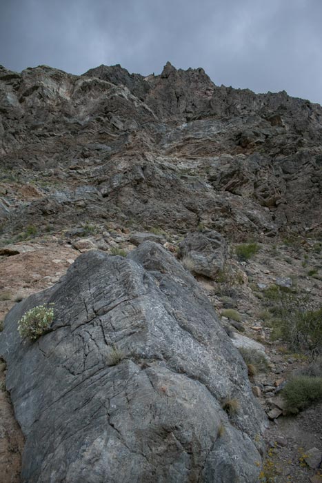 A view looking up at the formations in Titus Canyon on the border between Nevada and California